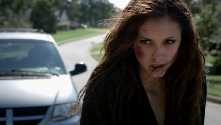 TVD_026.JPG