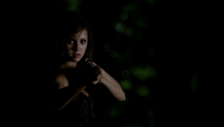 TVD_460.JPG