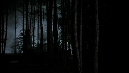 TVD_544.JPG