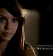 TVD_095.JPG