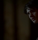 TVD_343.JPG