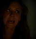 TVD_345.JPG