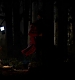 TVD_352.JPG