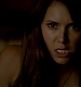 TVD_445.JPG