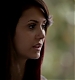 TVD_587.JPG