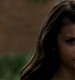 TVD_079.JPG