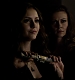 TVD_268.JPG
