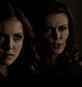 TVD_273.JPG