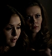 TVD_279.JPG