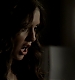 TVD_289.JPG
