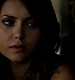 TVD_343.JPG