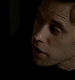 TVD_345.JPG