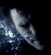 TVD_365.JPG
