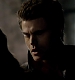 TVD_376.JPG
