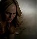 TVD_431.JPG