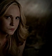 TVD_451.JPG