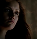 TVD_463.JPG