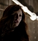 TVD_474.JPG