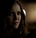 TVD_503.JPG