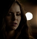 TVD_512.JPG