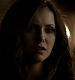 TVD_513.JPG