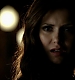 TVD_514.JPG