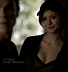 TVD_018.JPG