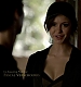 TVD_027.JPG
