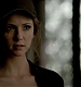 TVD_100.JPG