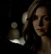 TVD_306.JPG