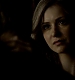 TVD_310.JPG