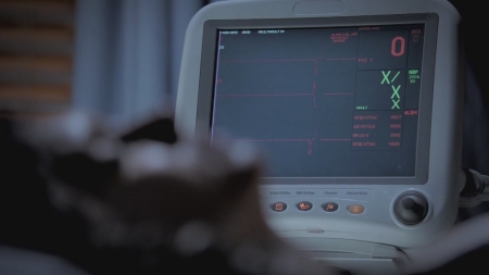 TVD_s5e11_00335.jpg
