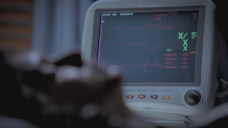 TVD_s5e11_00339.jpg