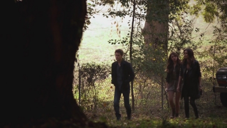TVD_s5e11_01659.jpg