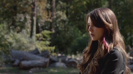 TVD_s5e11_01816.jpg