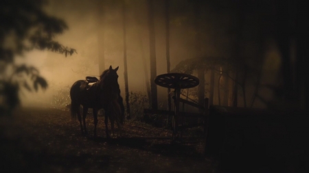 TVD_s5e11_01971.jpg