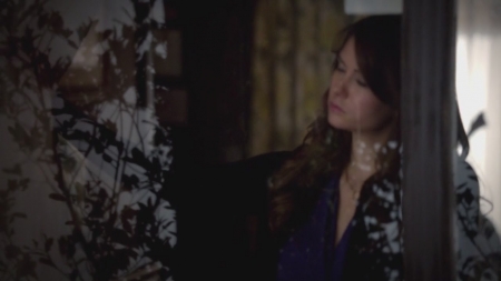 TVD_s5e12_00449.jpg