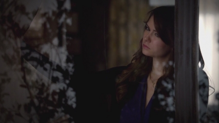 TVD_s5e12_00450.jpg