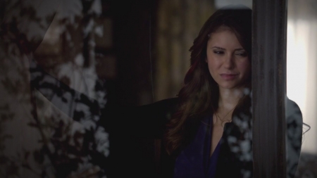 TVD_s5e12_00452.jpg