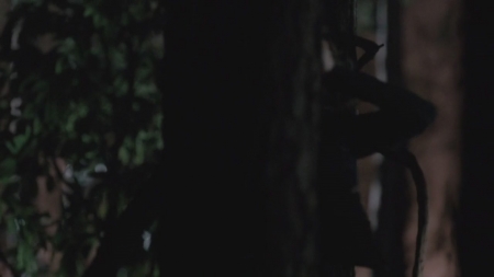 TVD_s5e12_04880.jpg
