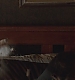 TVD_s5e12_01654.jpg