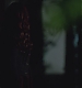 TVD_s5e12_04668.jpg