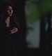 TVD_s5e12_04676.jpg