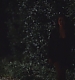 TVD_s5e12_04969.jpg