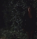 TVD_s5e12_04970.jpg