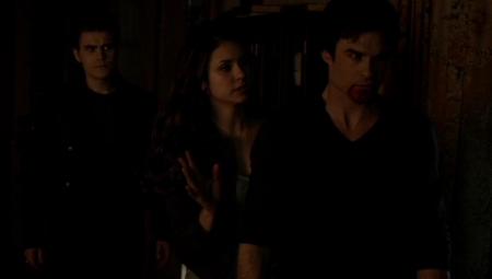TVD_320.JPG