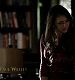 TVD_004.JPG