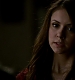 TVD_032.JPG