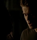 TVD_250.JPG