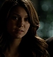 TVD_295.JPG
